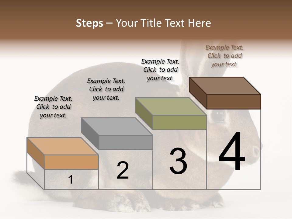 Rabbit Little Bunny PowerPoint Template