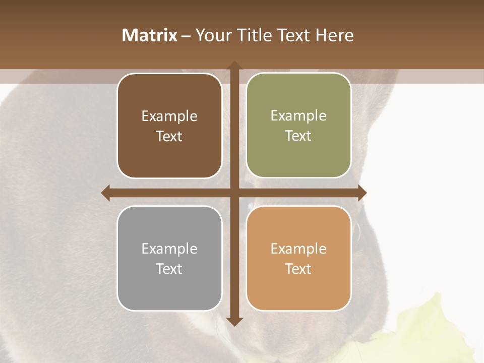 Rabbit Eating PowerPoint Template