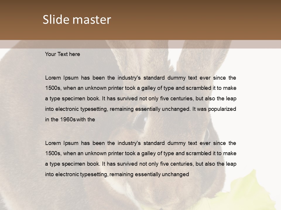 Rabbit Eating PowerPoint Template