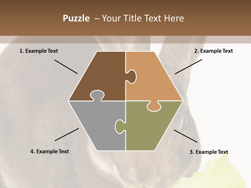 Rabbit Eating PowerPoint Template