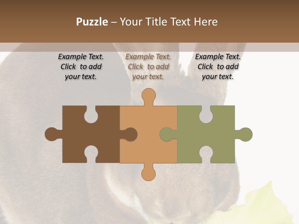 Rabbit Eating PowerPoint Template