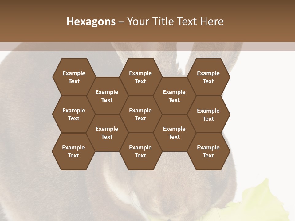 Rabbit Eating PowerPoint Template