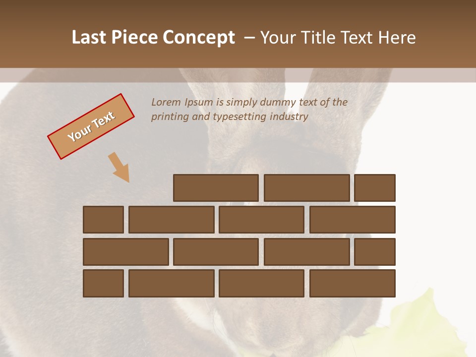 Rabbit Eating PowerPoint Template