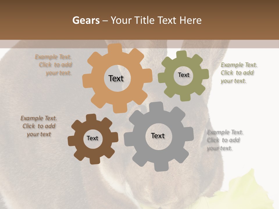 Rabbit Eating PowerPoint Template