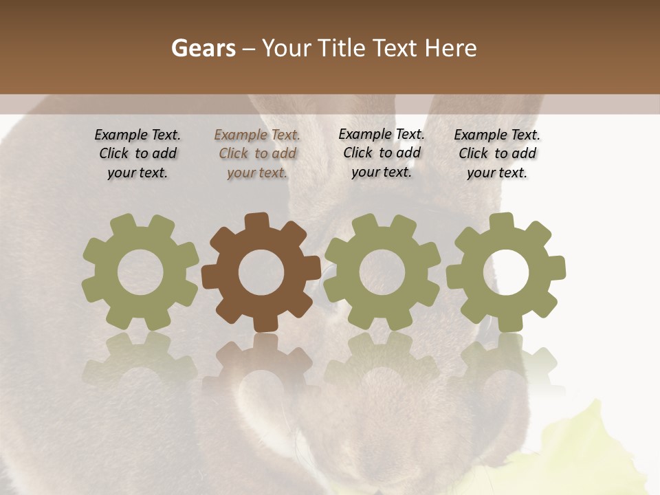 Rabbit Eating PowerPoint Template