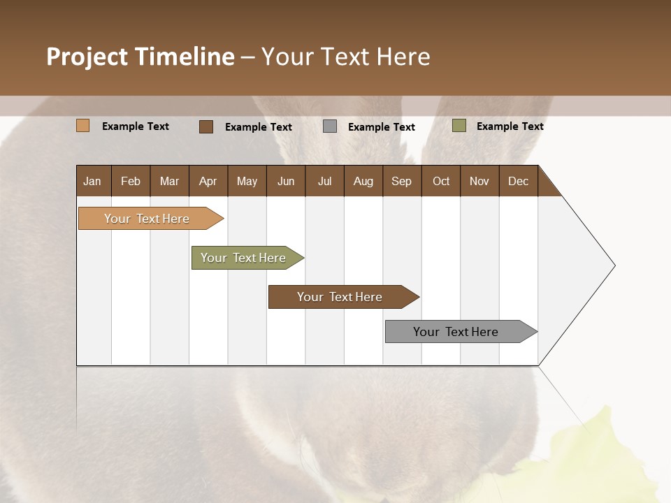 Rabbit Eating PowerPoint Template
