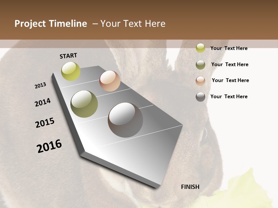 Rabbit Eating PowerPoint Template