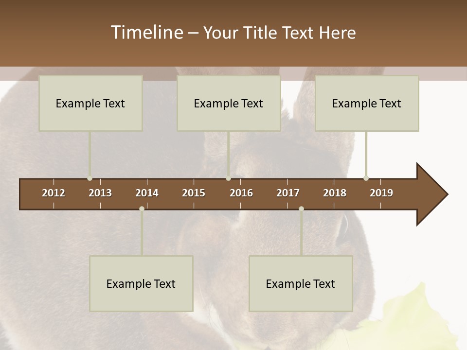 Rabbit Eating PowerPoint Template
