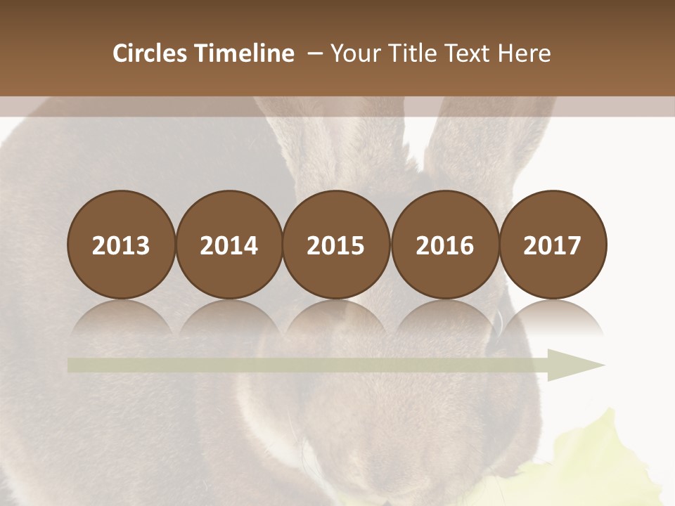 Rabbit Eating PowerPoint Template