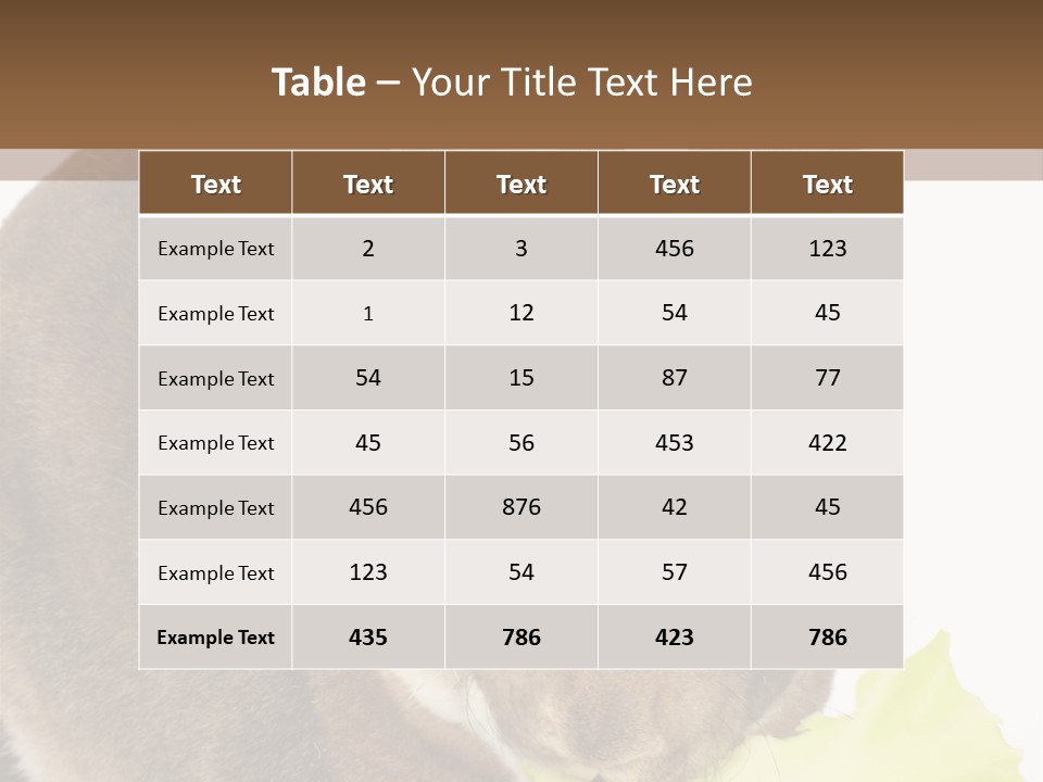 Rabbit Eating PowerPoint Template