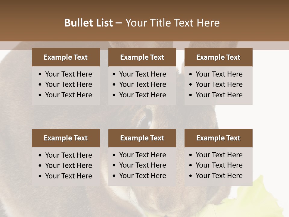 Rabbit Eating PowerPoint Template
