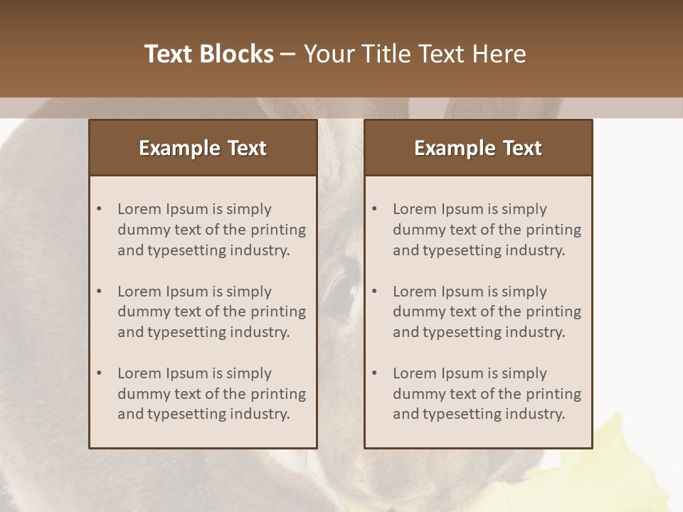 Rabbit Eating PowerPoint Template