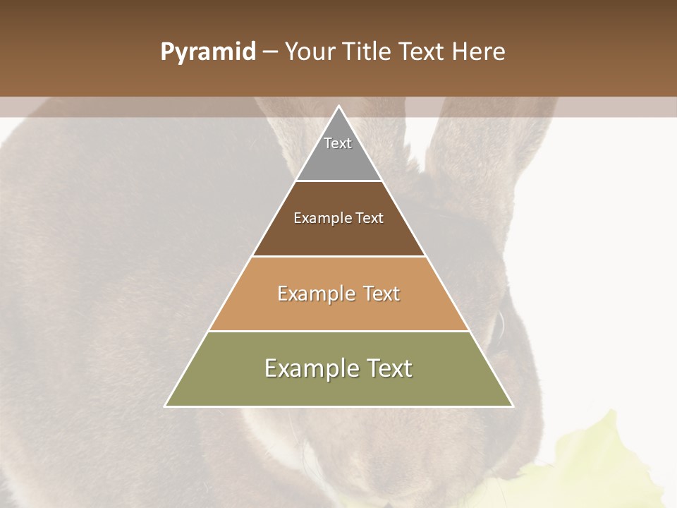 Rabbit Eating PowerPoint Template