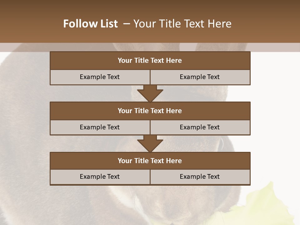 Rabbit Eating PowerPoint Template