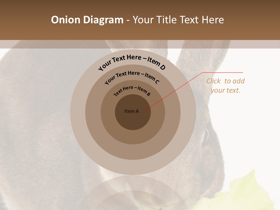 Rabbit Eating PowerPoint Template