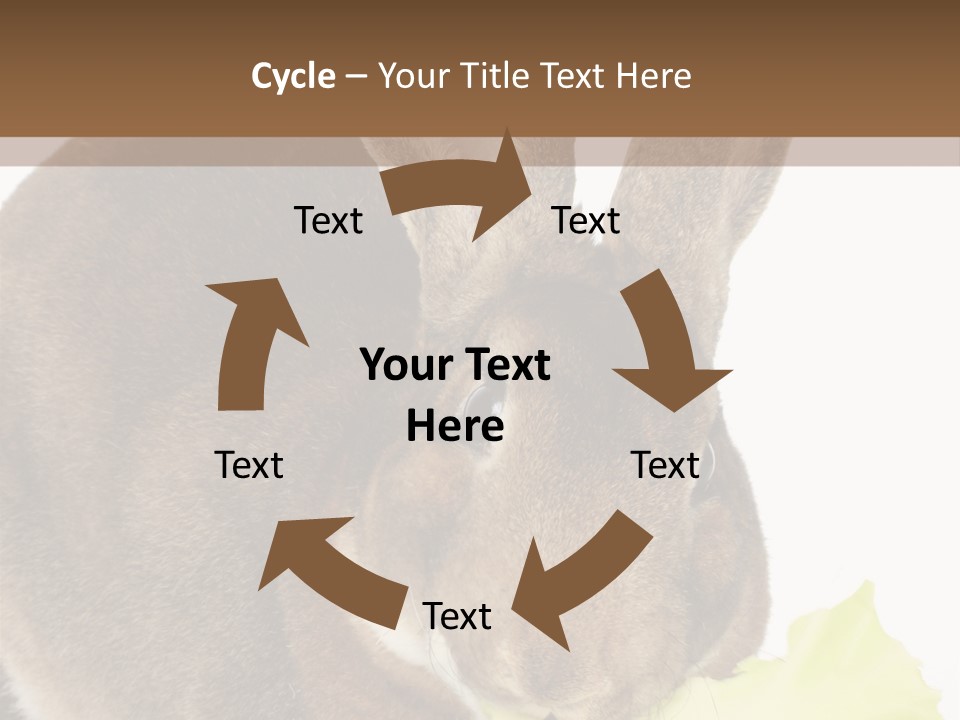Rabbit Eating PowerPoint Template