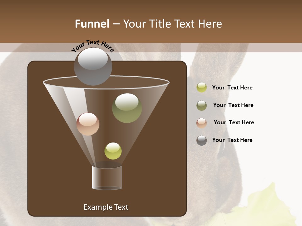 Rabbit Eating PowerPoint Template