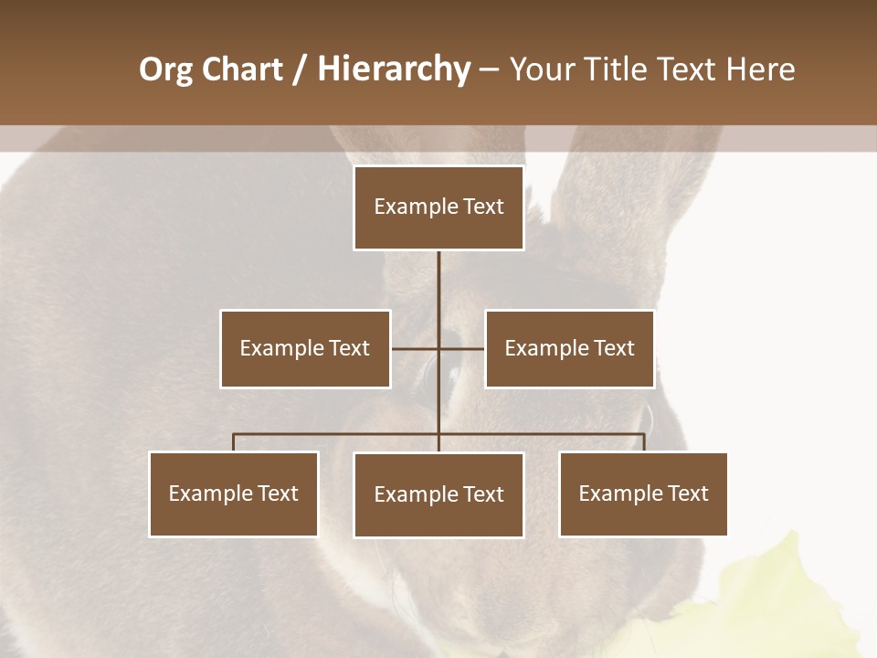 Rabbit Eating PowerPoint Template