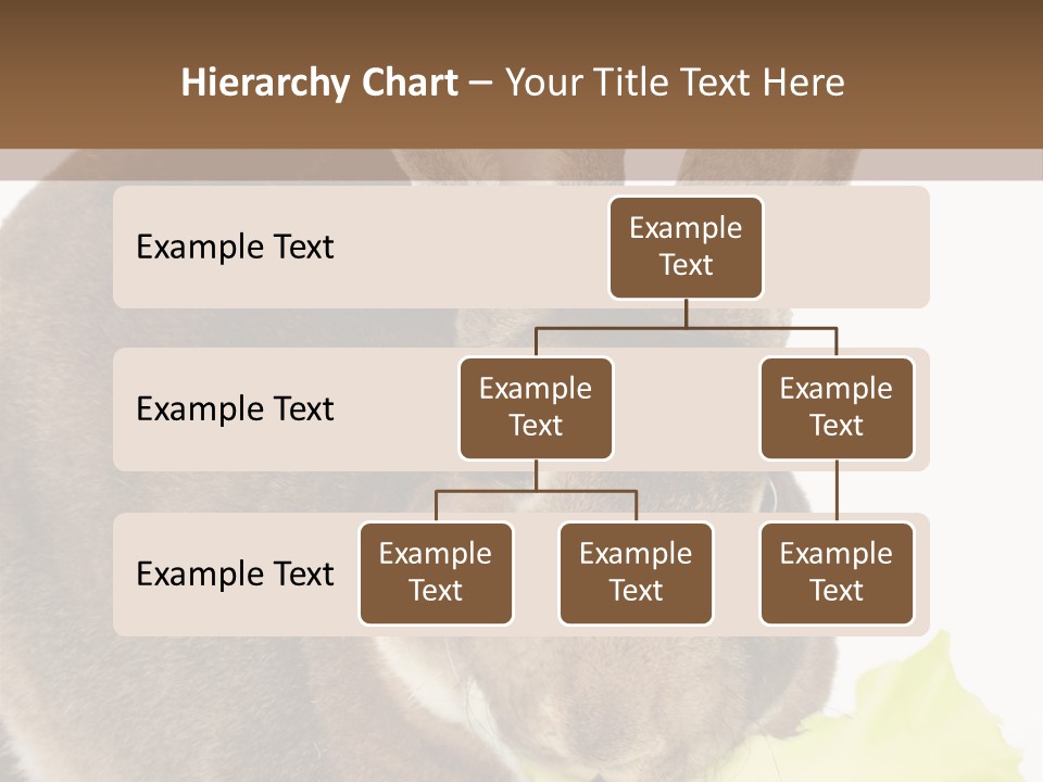 Rabbit Eating PowerPoint Template