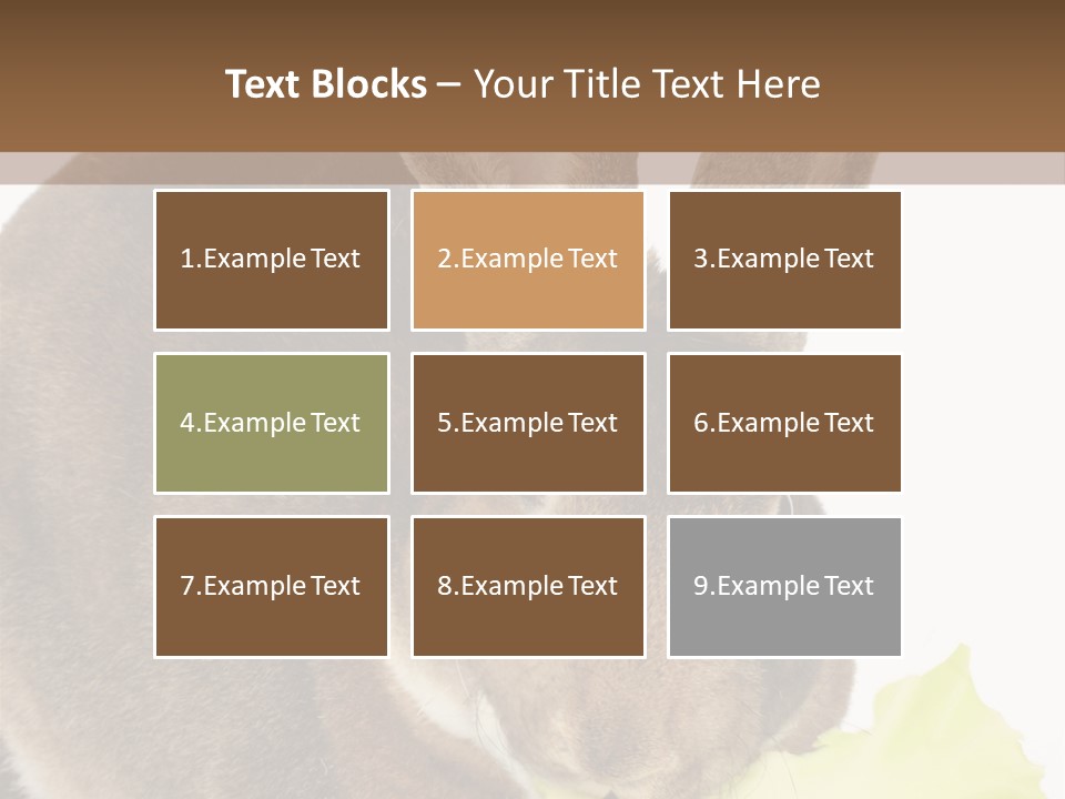 Rabbit Eating PowerPoint Template