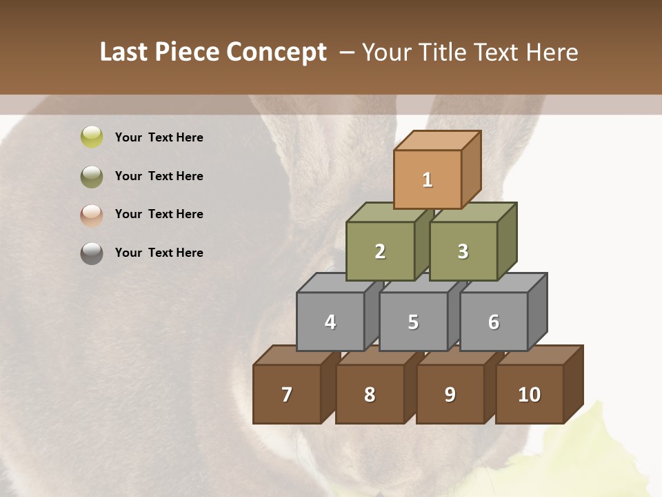 Rabbit Eating PowerPoint Template
