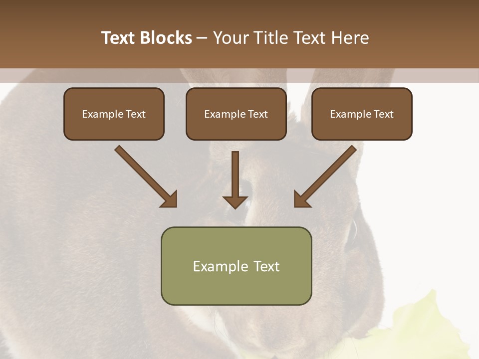 Rabbit Eating PowerPoint Template