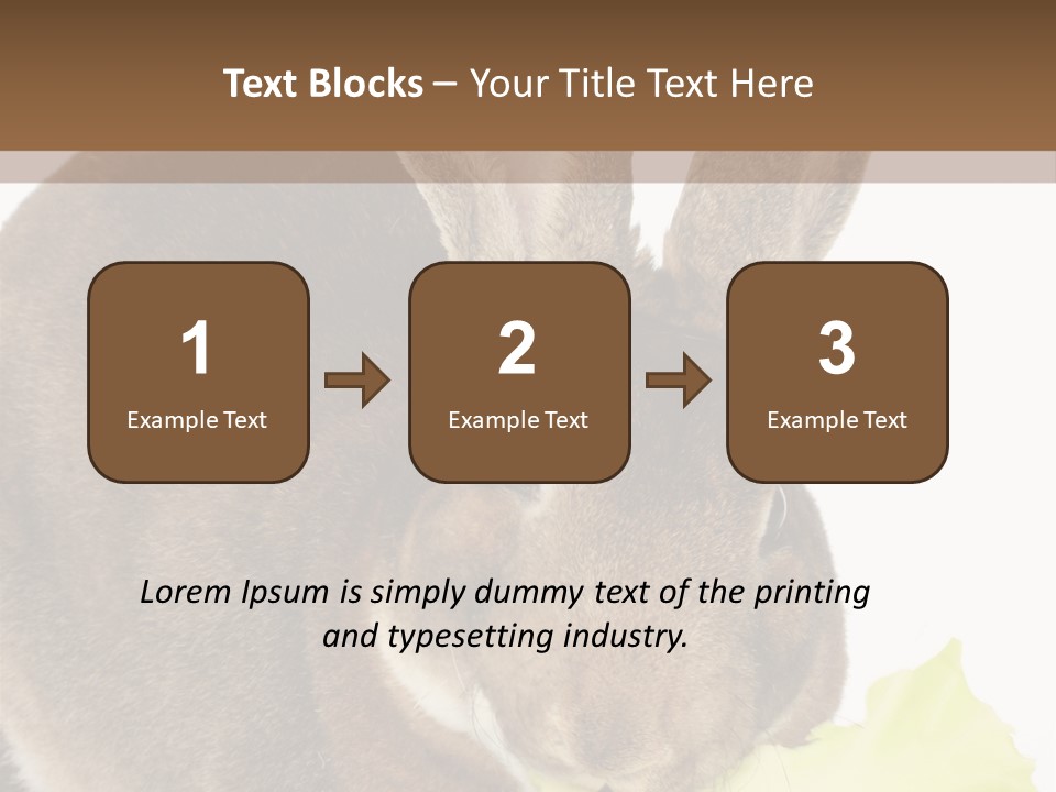 Rabbit Eating PowerPoint Template