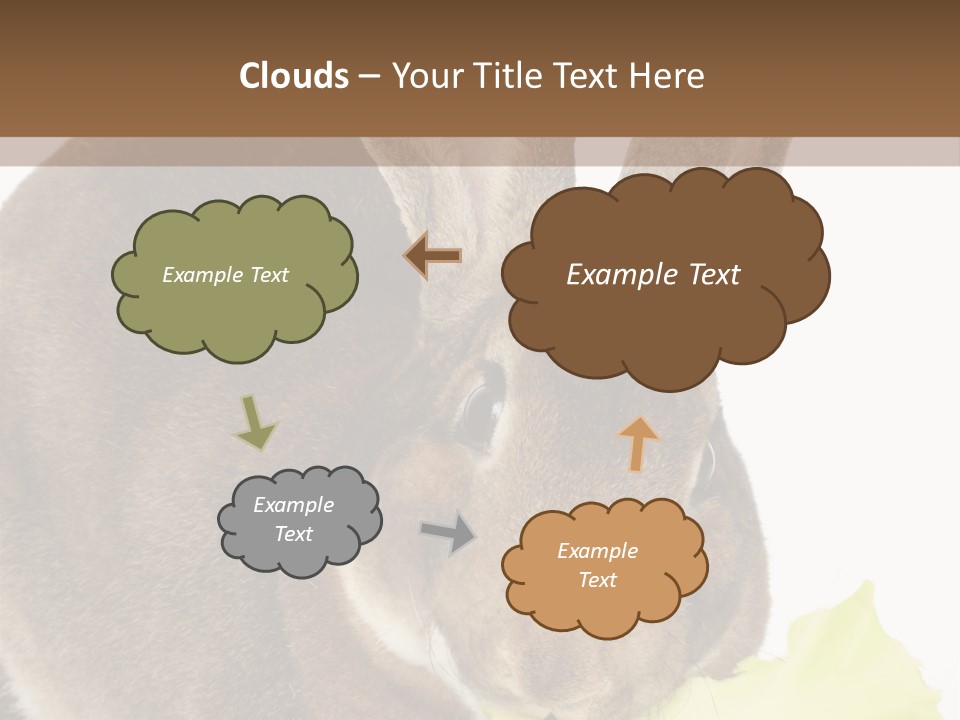 Rabbit Eating PowerPoint Template