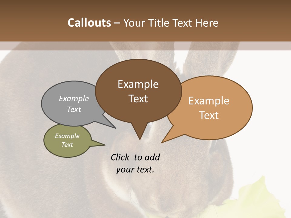 Rabbit Eating PowerPoint Template