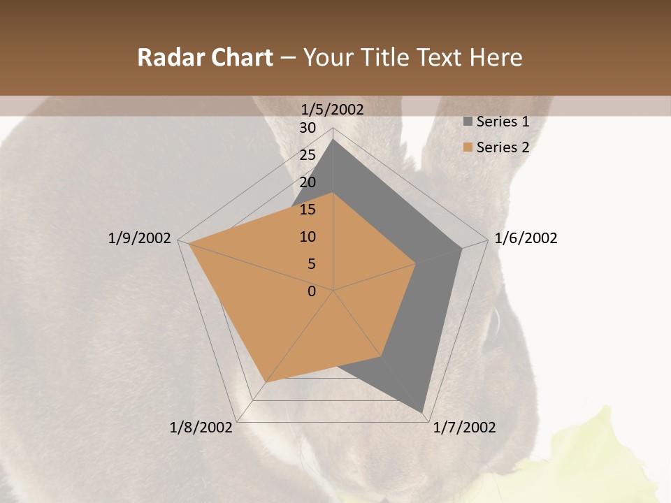 Rabbit Eating PowerPoint Template