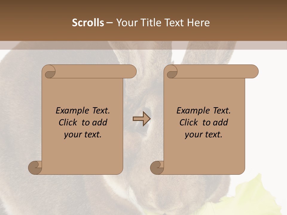 Rabbit Eating PowerPoint Template