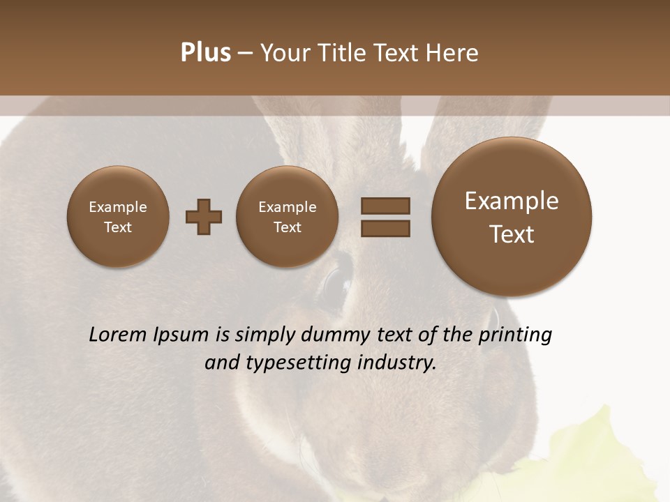 Rabbit Eating PowerPoint Template