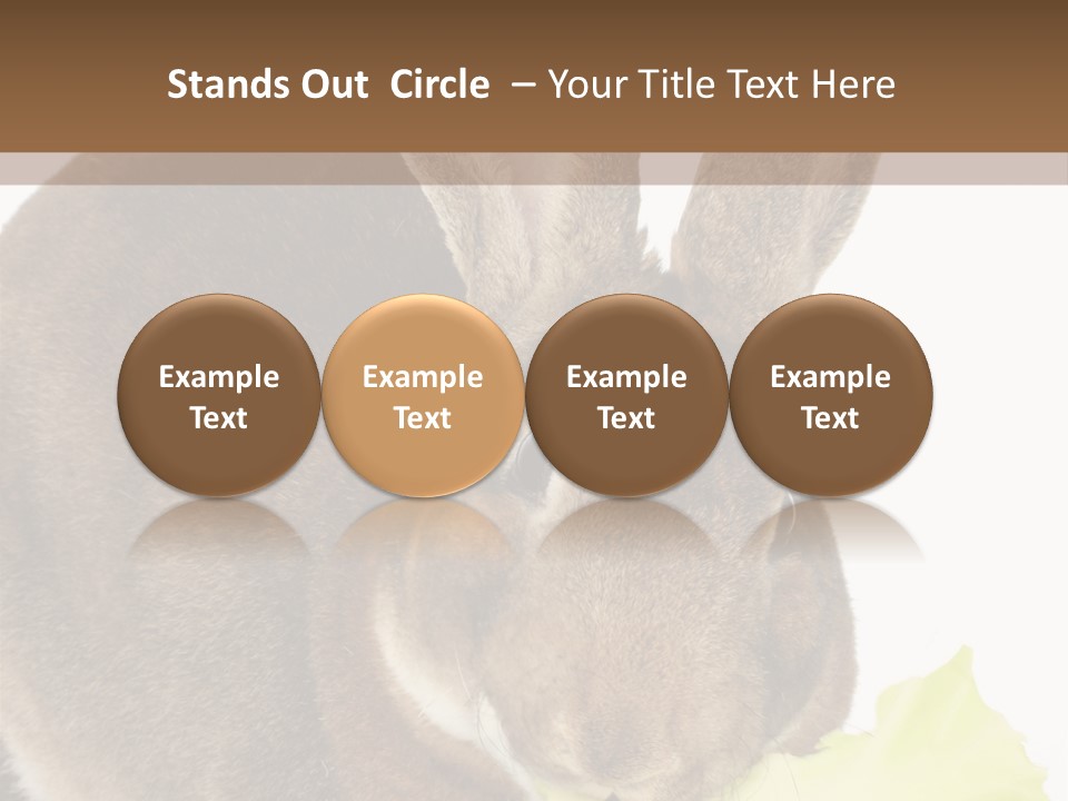 Rabbit Eating PowerPoint Template