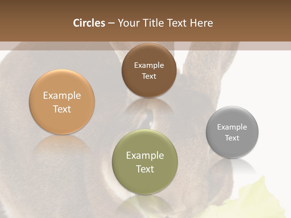 Rabbit Eating PowerPoint Template