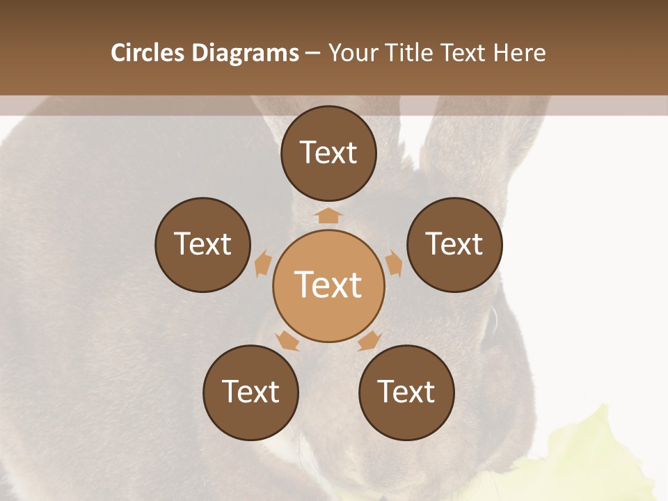 Rabbit Eating PowerPoint Template