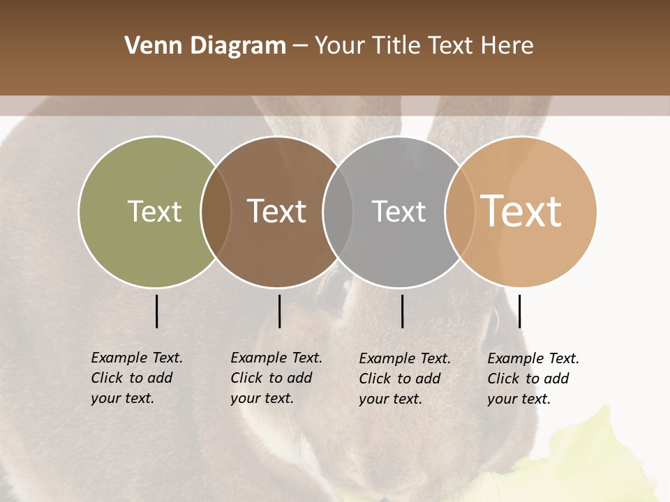 Rabbit Eating PowerPoint Template