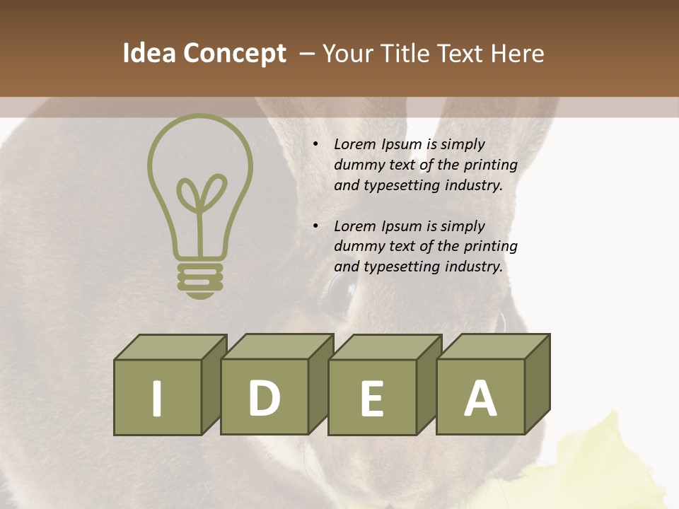 Rabbit Eating PowerPoint Template