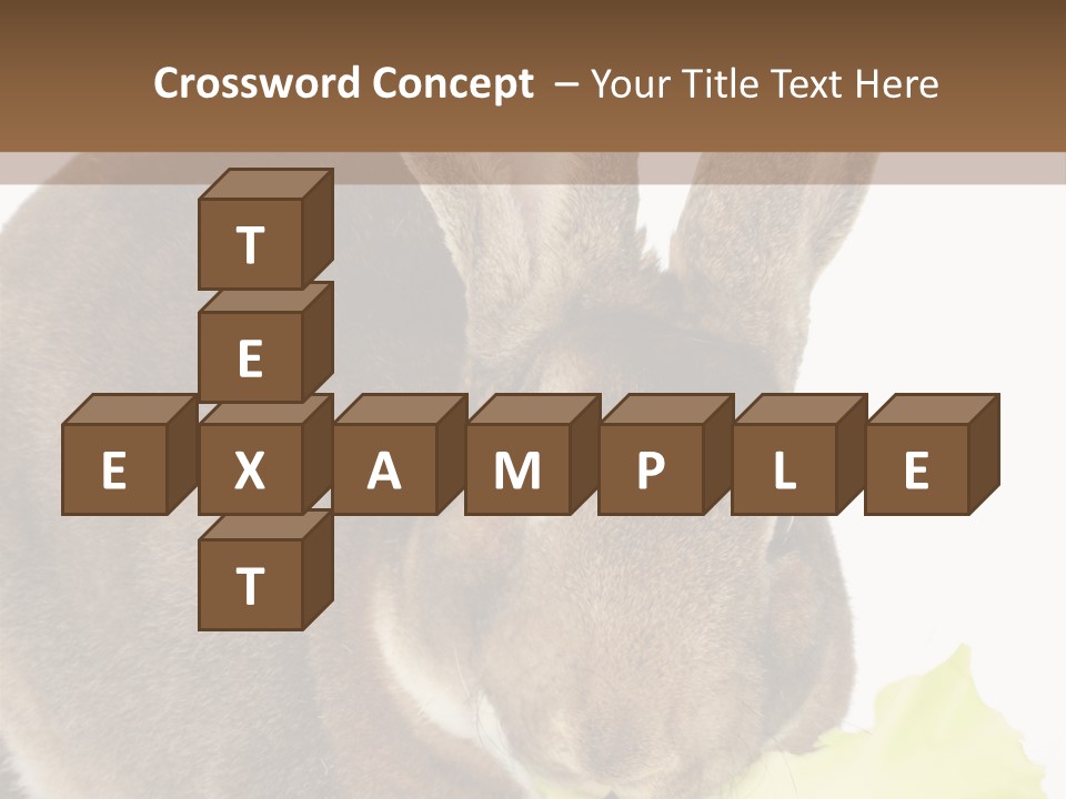 Rabbit Eating PowerPoint Template