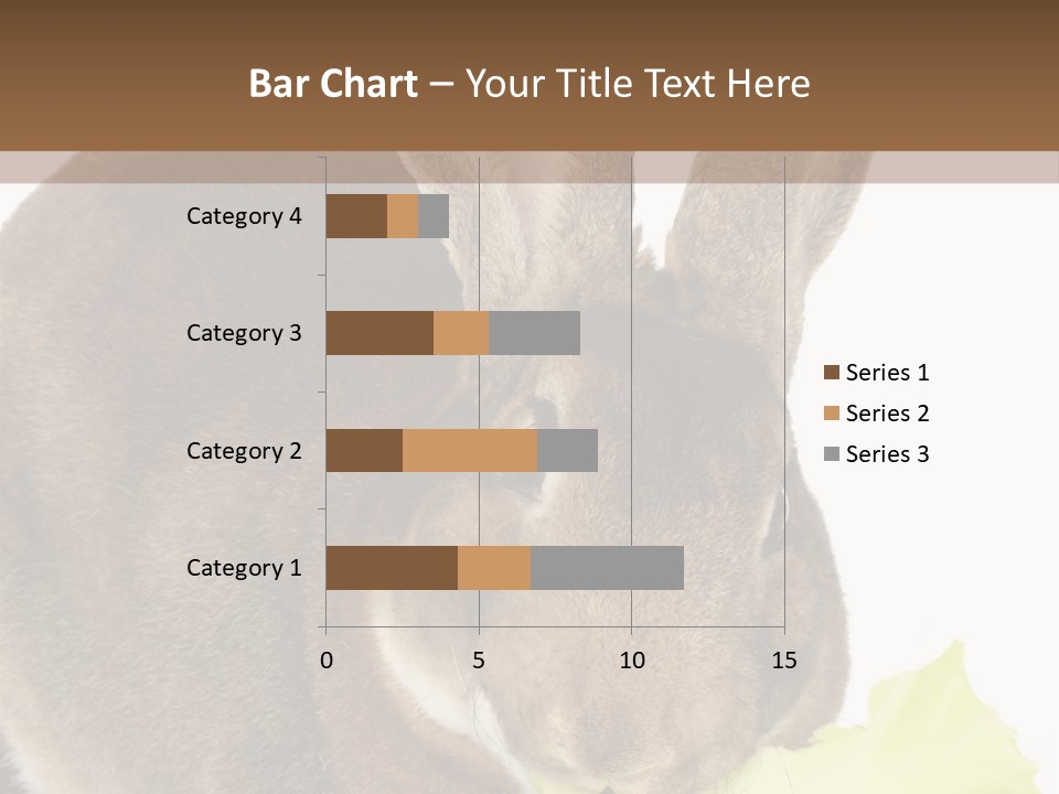 Rabbit Eating PowerPoint Template