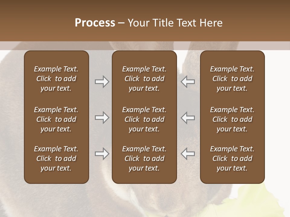 Rabbit Eating PowerPoint Template