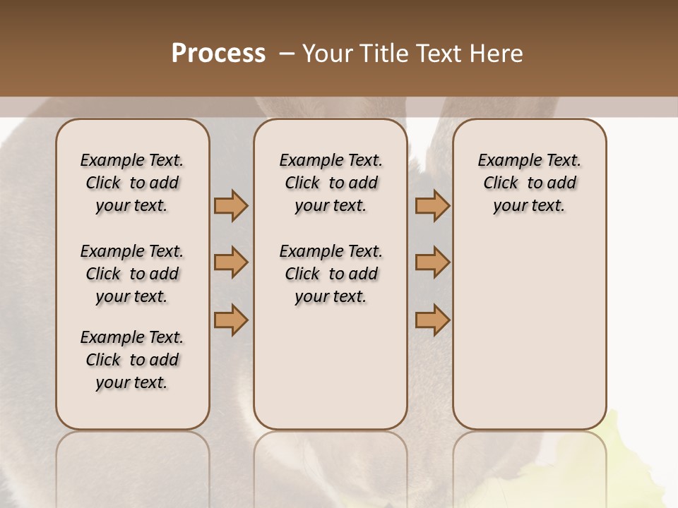 Rabbit Eating PowerPoint Template