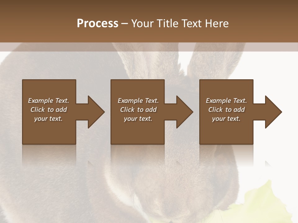 Rabbit Eating PowerPoint Template