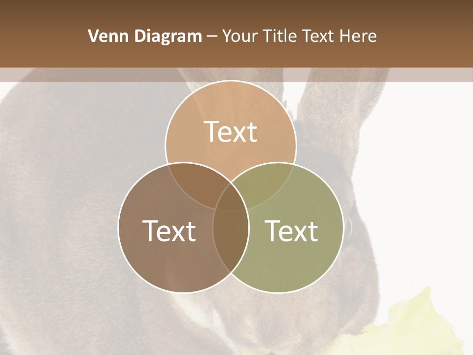 Rabbit Eating PowerPoint Template