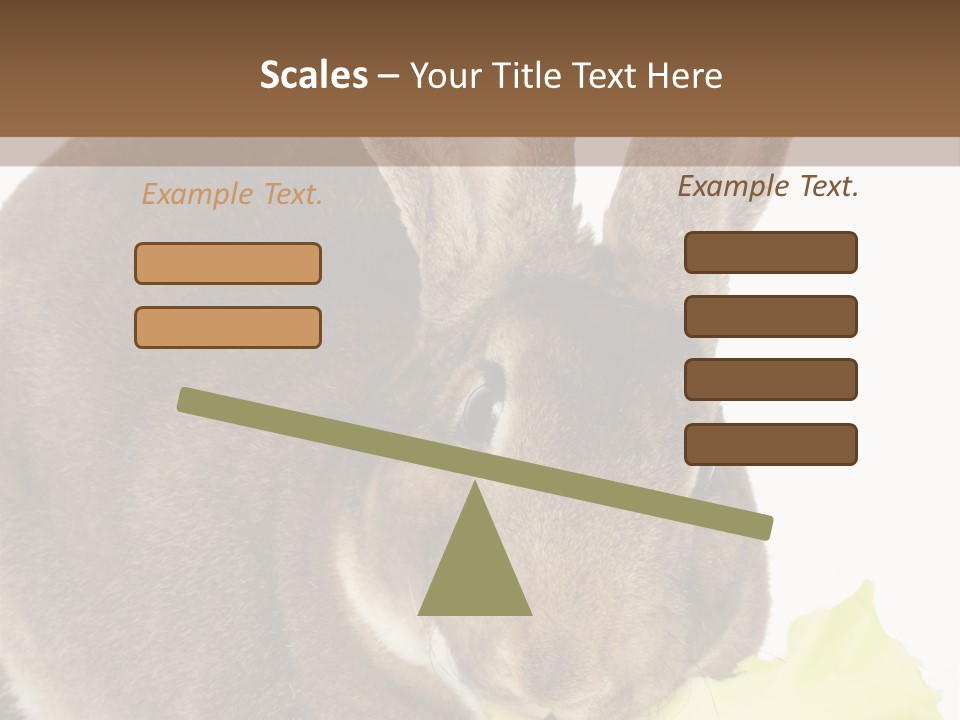 Rabbit Eating PowerPoint Template