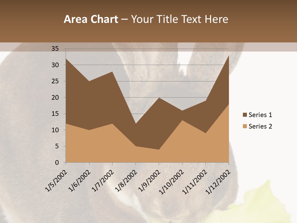 Rabbit Eating PowerPoint Template