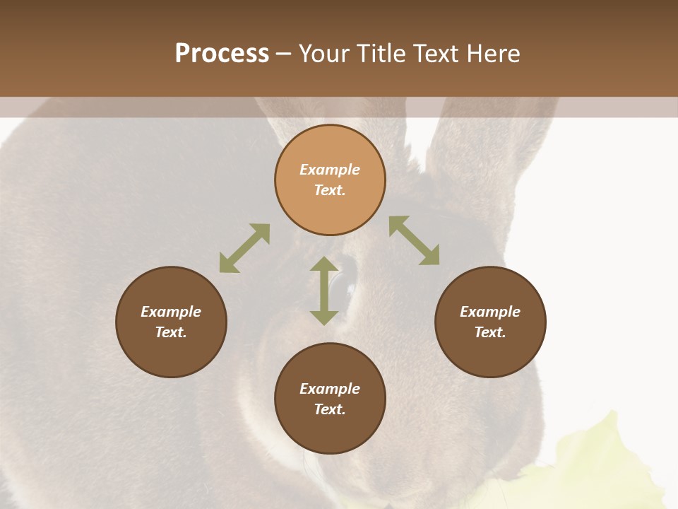 Rabbit Eating PowerPoint Template