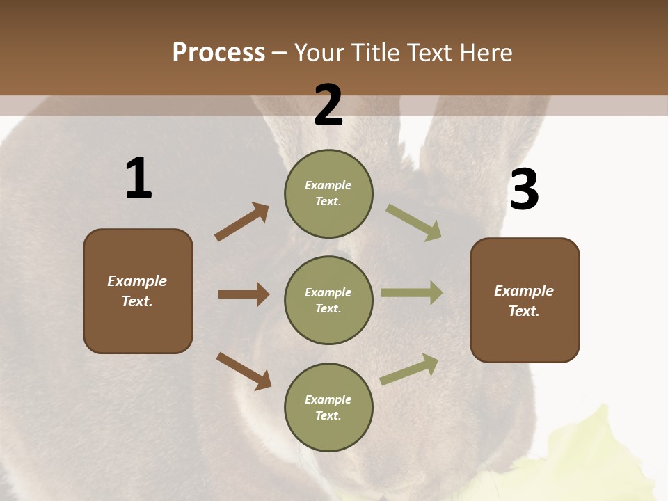 Rabbit Eating PowerPoint Template