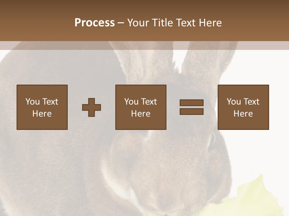 Rabbit Eating PowerPoint Template