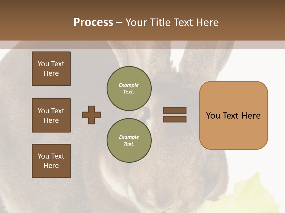 Rabbit Eating PowerPoint Template