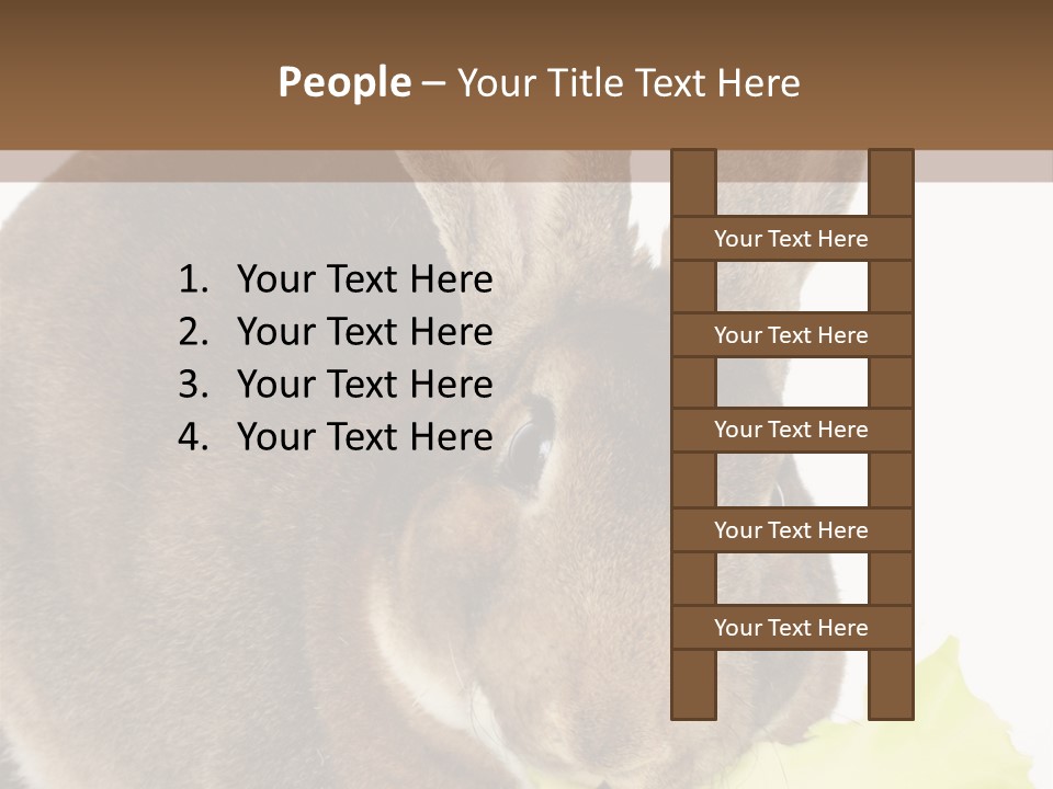 Rabbit Eating PowerPoint Template